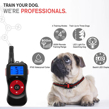 Durable Nylon Pet Training Collar & Remote