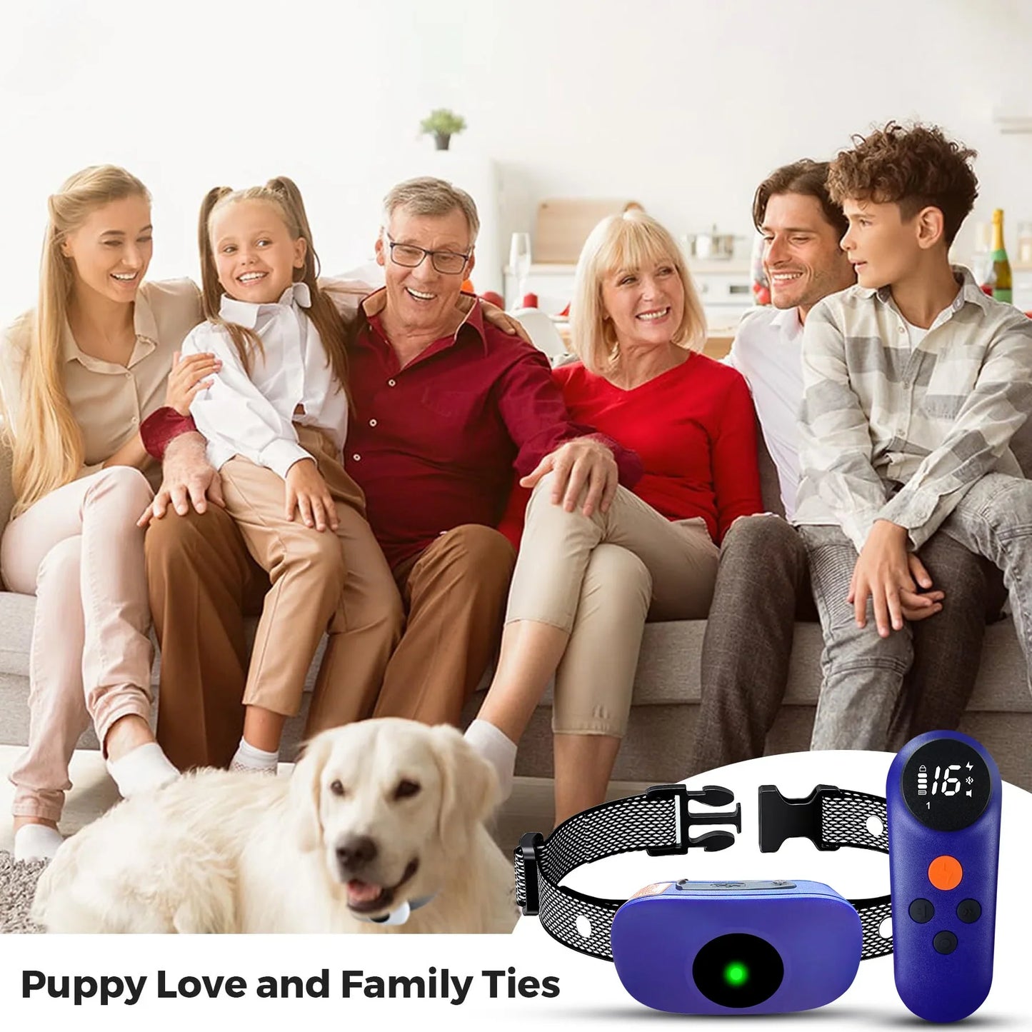 Long Range Waterproof Dog Training Collar with Sound Vibration