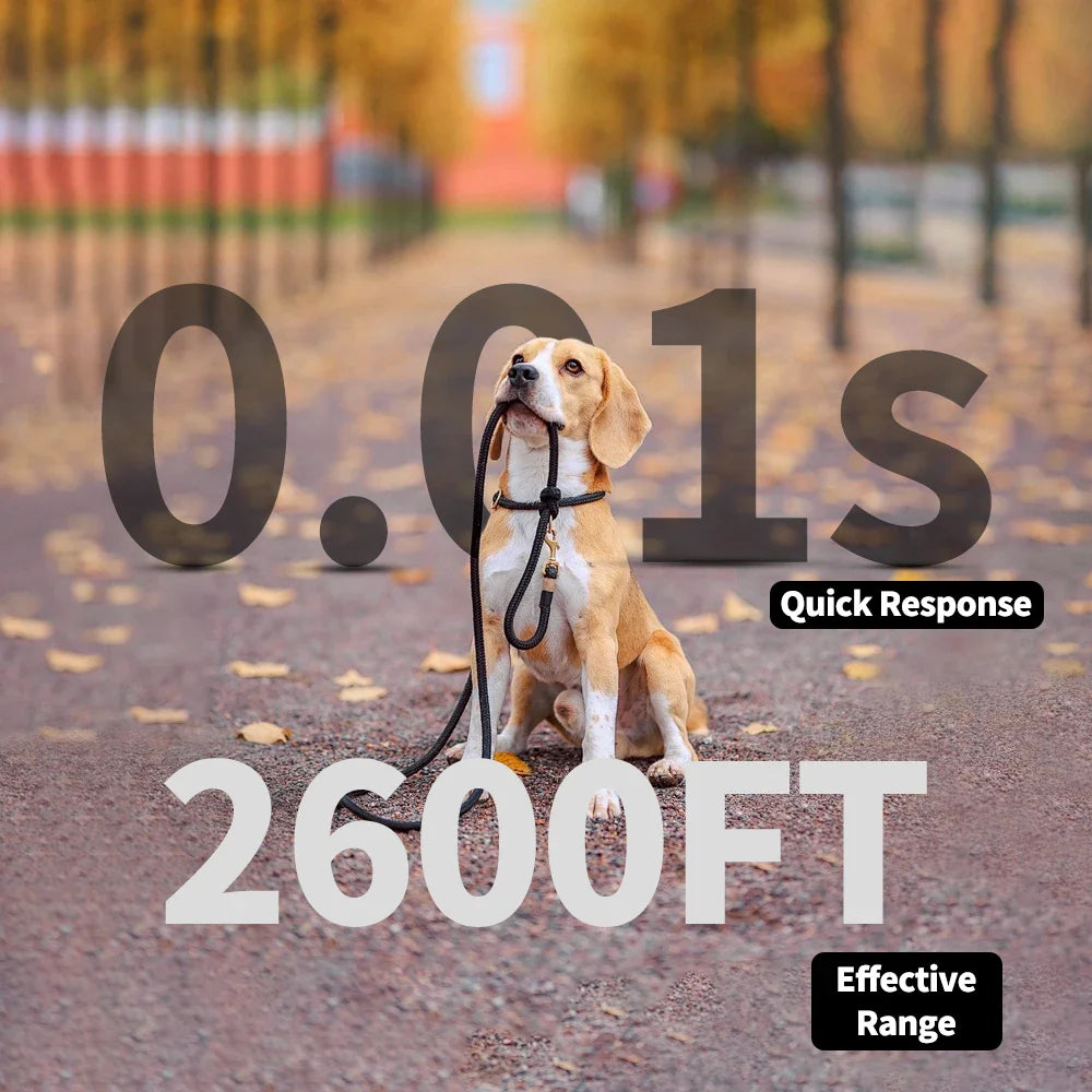 Long Range Dog Training Collar with Color LCD Remote