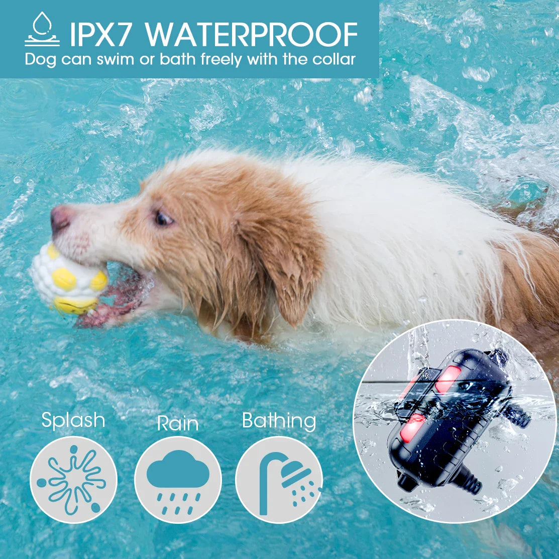 Durable Nylon Pet Training Collar & Remote
