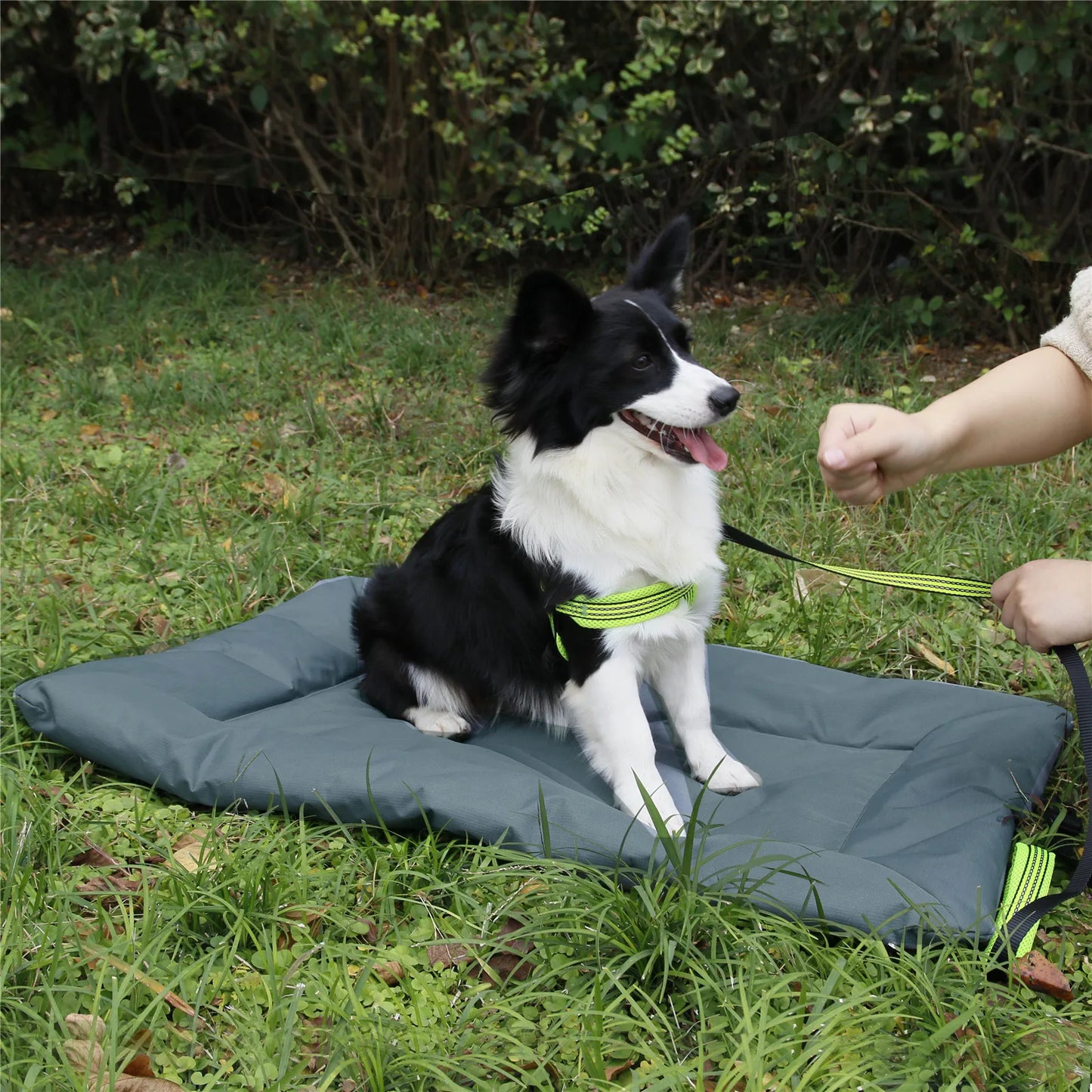 Durable Water Resistant Pet Travel Pad
