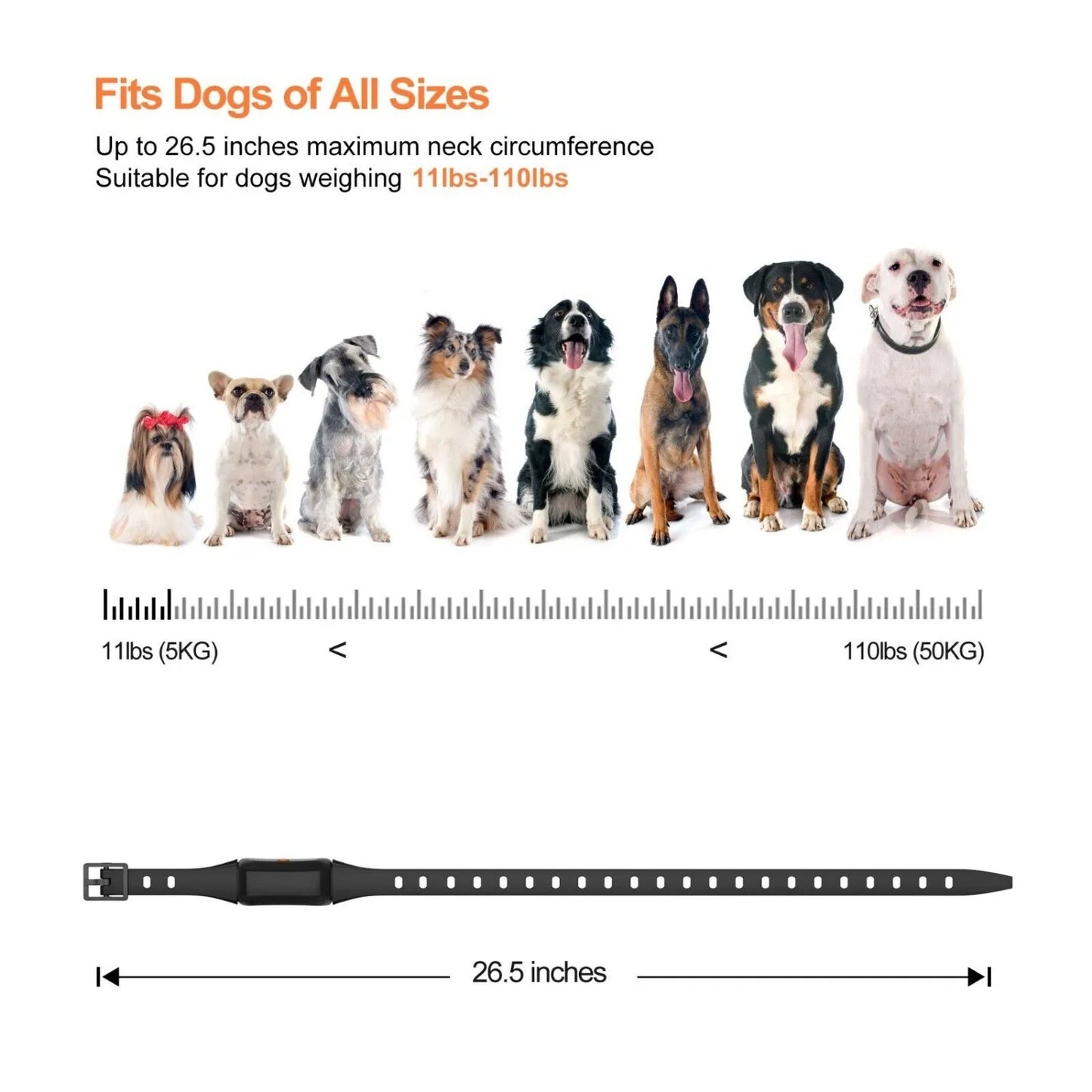 Long Range Rechargeable Dog Training Collar & Remote