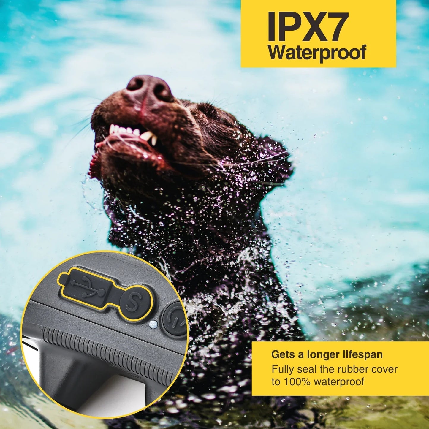 Long Range Dog Training Collar Waterproof Rechargeable