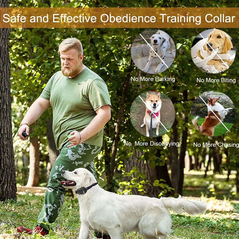 Long Range Rechargeable Dog Trainer Collar
