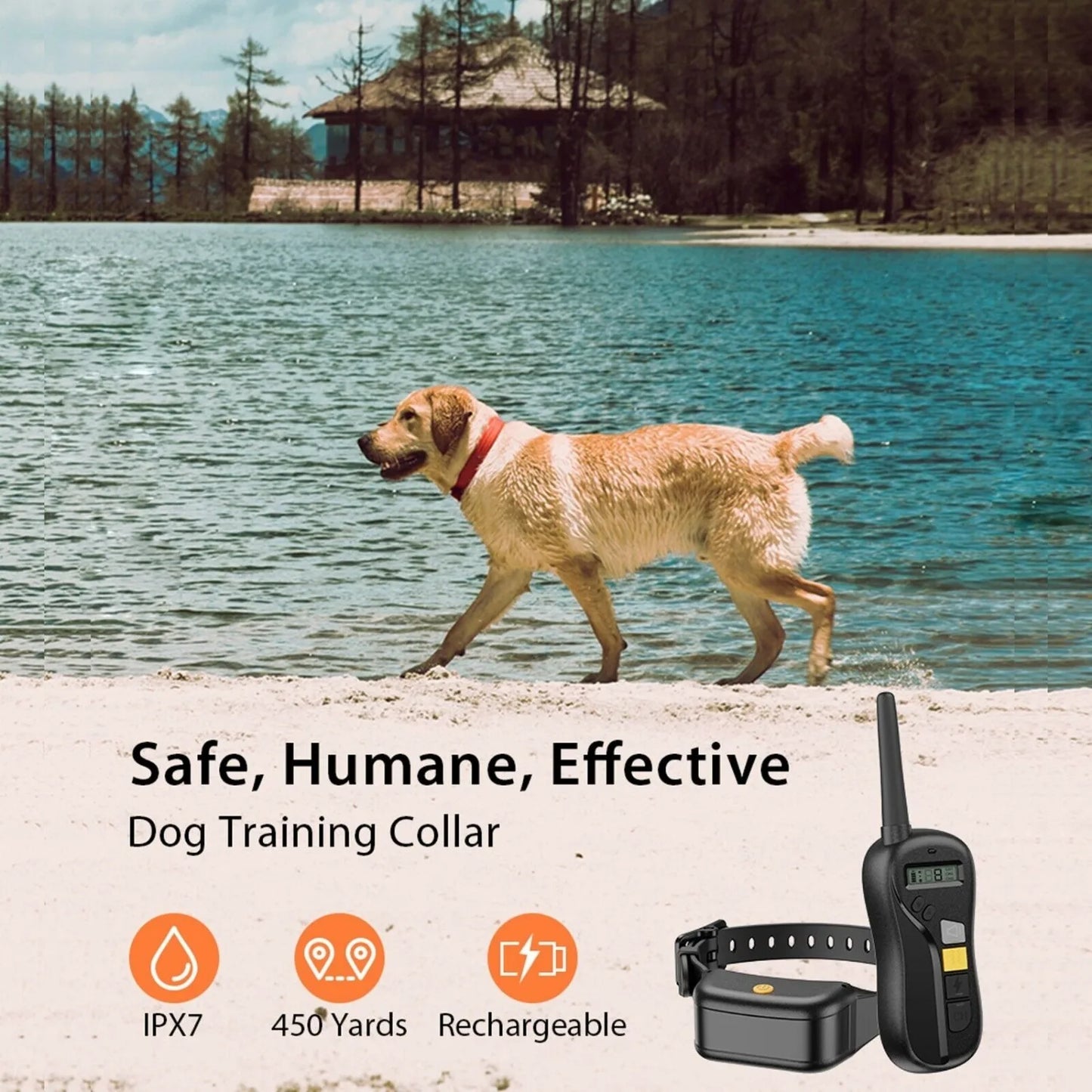 Long Range Rechargeable Dog Training Collar & Remote