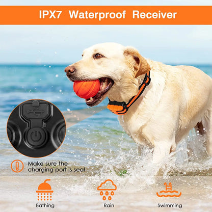 Advanced Dog Training Collar Set with Remote Control