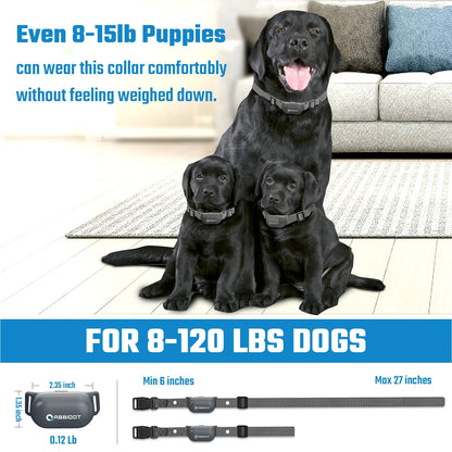 Effective Waterproof Remote Dog Training Collar System
