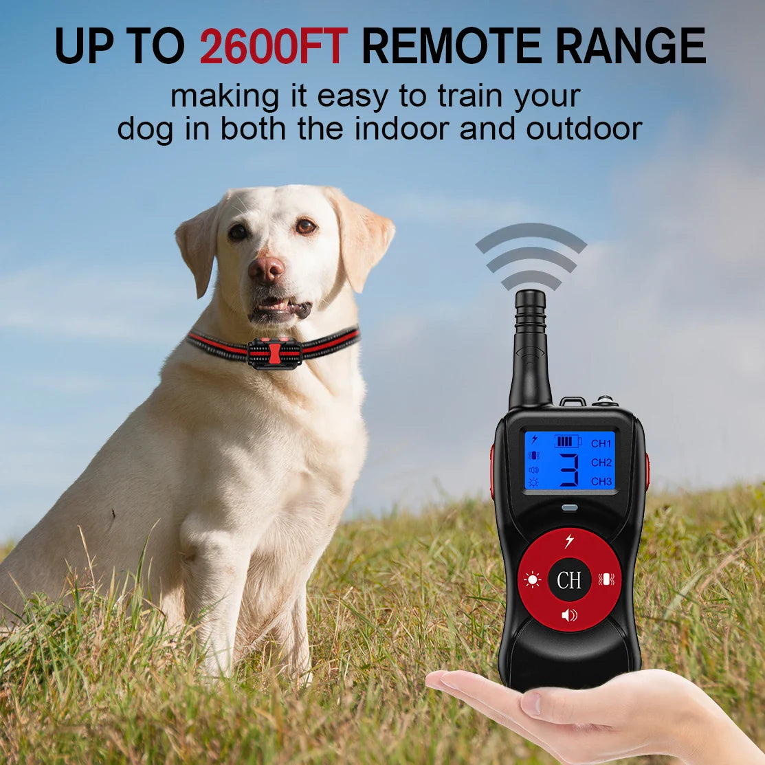 Durable Nylon Pet Training Collar & Remote