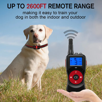 Durable Nylon Pet Training Collar & Remote
