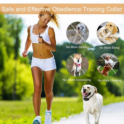 Long Range Rechargeable Dog Trainer Collar