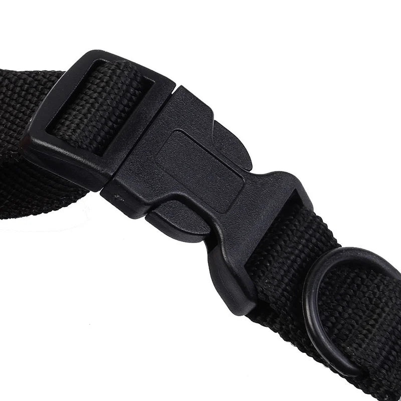 Durable Rechargeable 300m Dog Training Collar with Remote