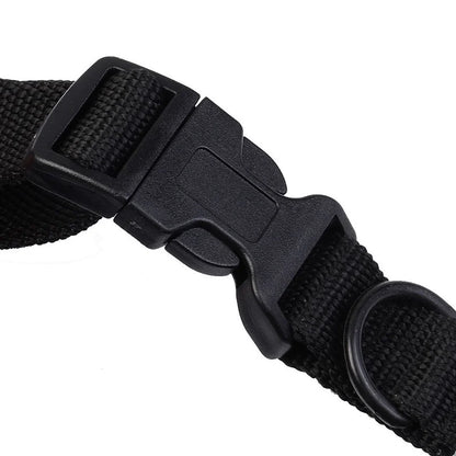 Durable Rechargeable 300m Dog Training Collar with Remote