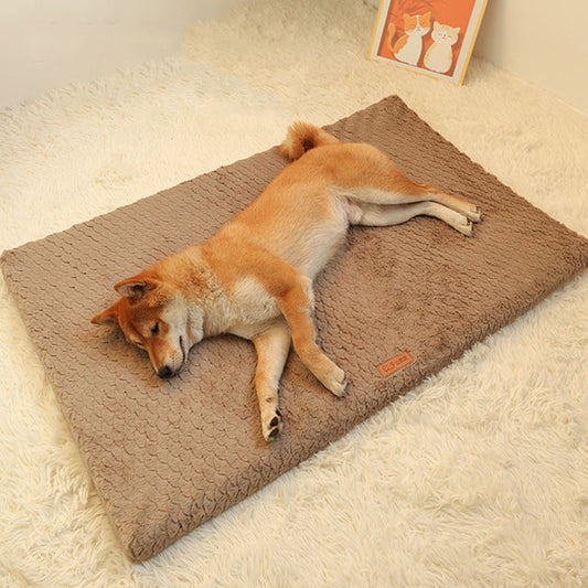 Small Fleece Pet Bed with Removable Washable Cover - LifyPet