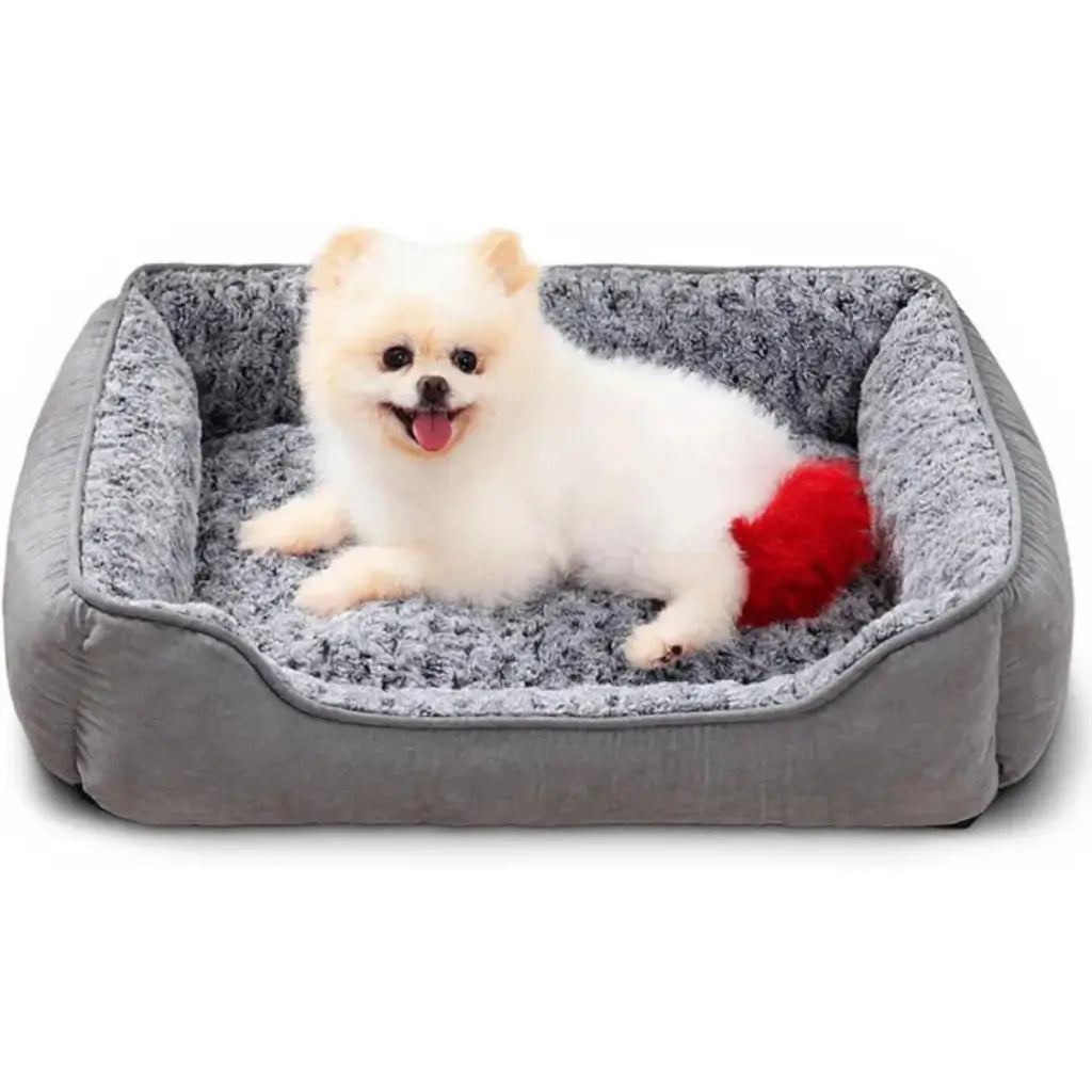Small white dog on a gray pet bed against a white background