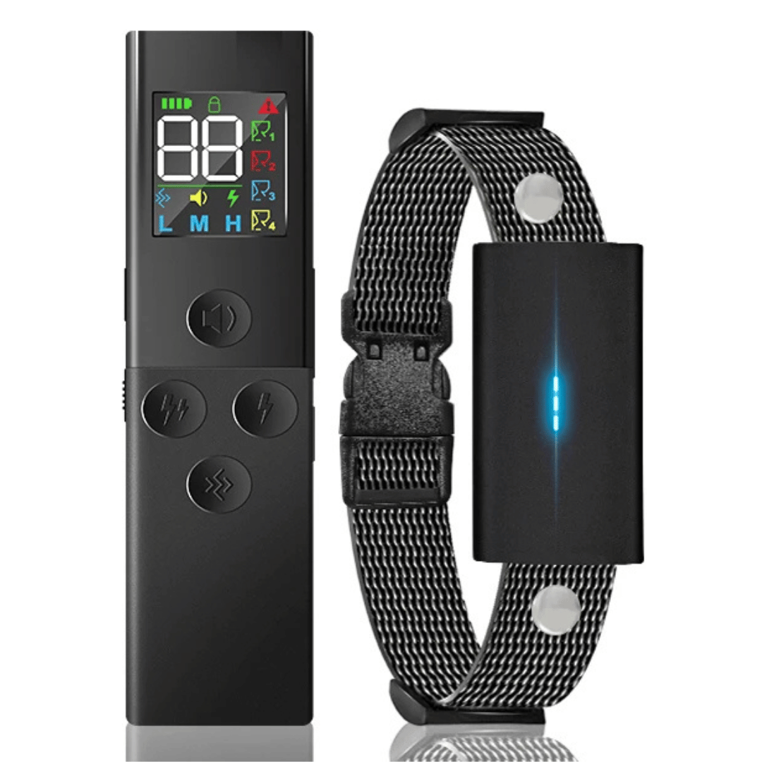 Effective 500m Pet Training Collar and Remote Controller - LifyPet