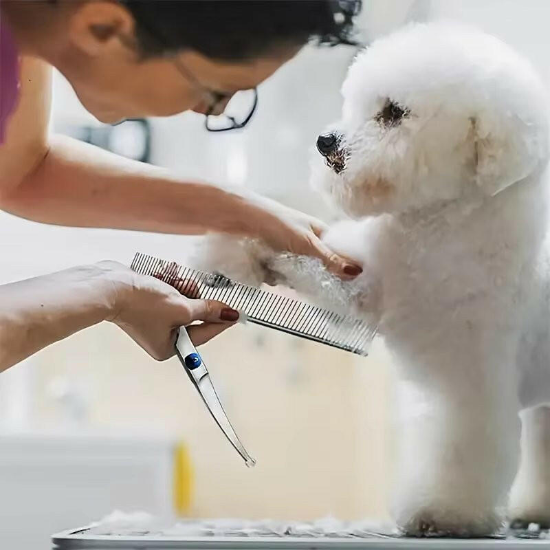 Pet Grooming Kit with Sharp Scissors & Comb