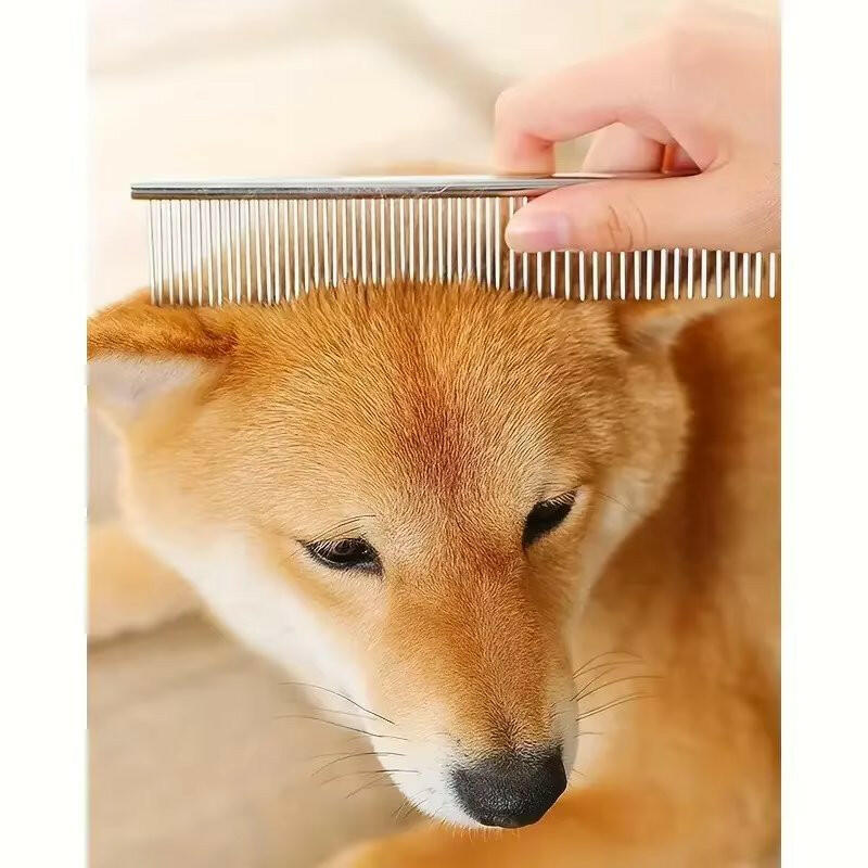 Pet Grooming Kit with Sharp Scissors & Comb