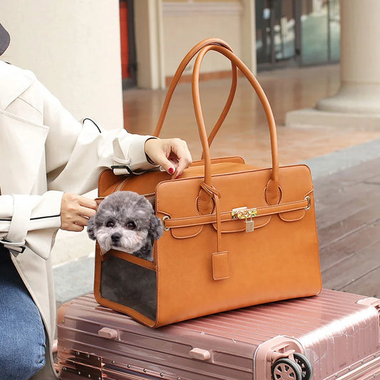 Fashionable Fake Leather Pet Purse - LifyPet