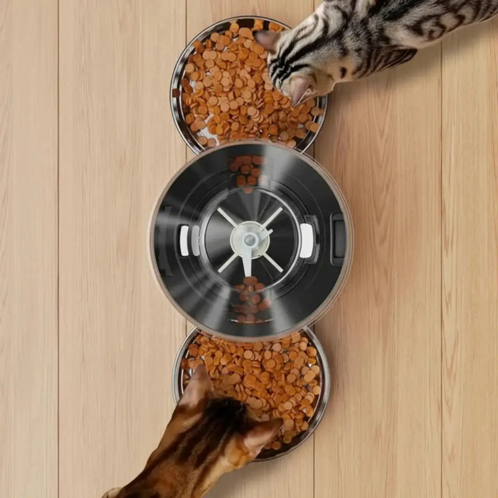 Two cats eating from a modern pet feeder on a wooden floor