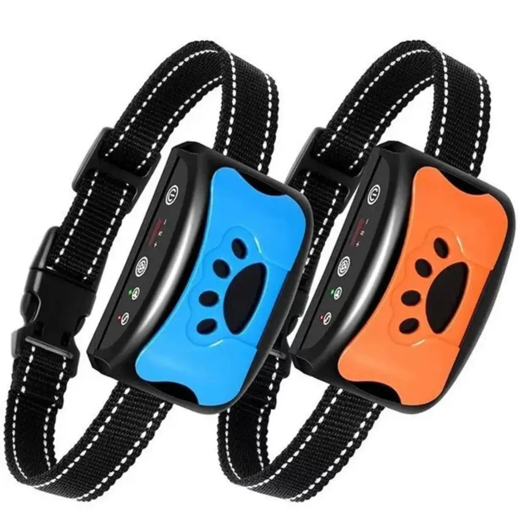 Two dog collars with black straps and colorful paws on a white background