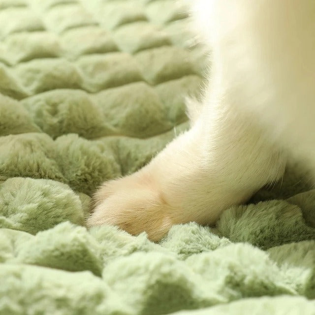 Plush Warm Pet Dog Bed with Washable Zip Cover