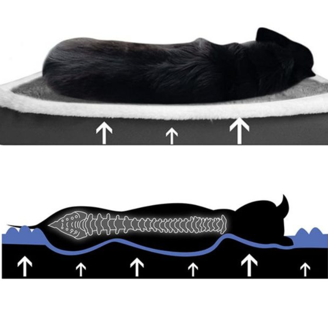 Plush Orthopedic Dog Mattress with Washable Zip Cover