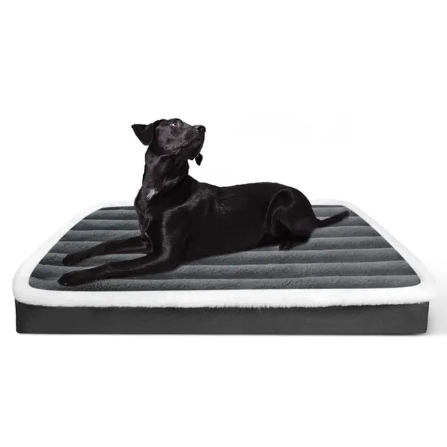 Plush Orthopedic Dog Mattress with Washable Zip Cover