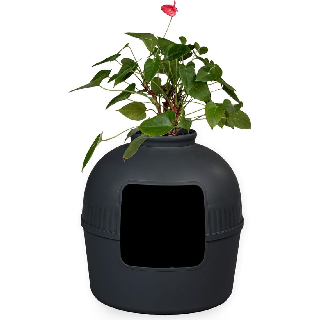 XXL Cat Litter Box Flower Style - Hidden Cat Toilet for Large Cats
