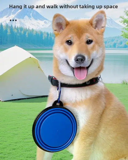 Collapsible Silicone Travel Pet Bowl with Carabiner Attachment
