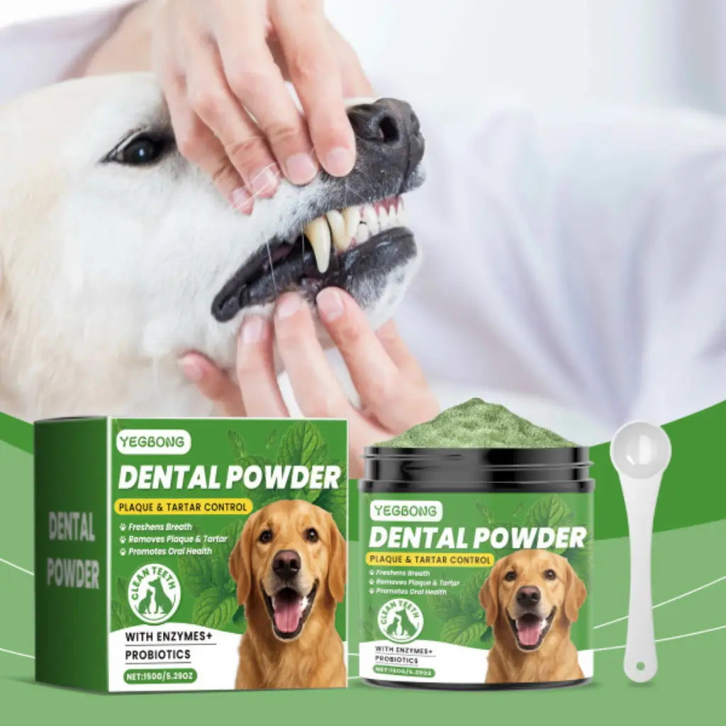 Yegbom dental powder for dogs with packaging and a dog being examined by a person.