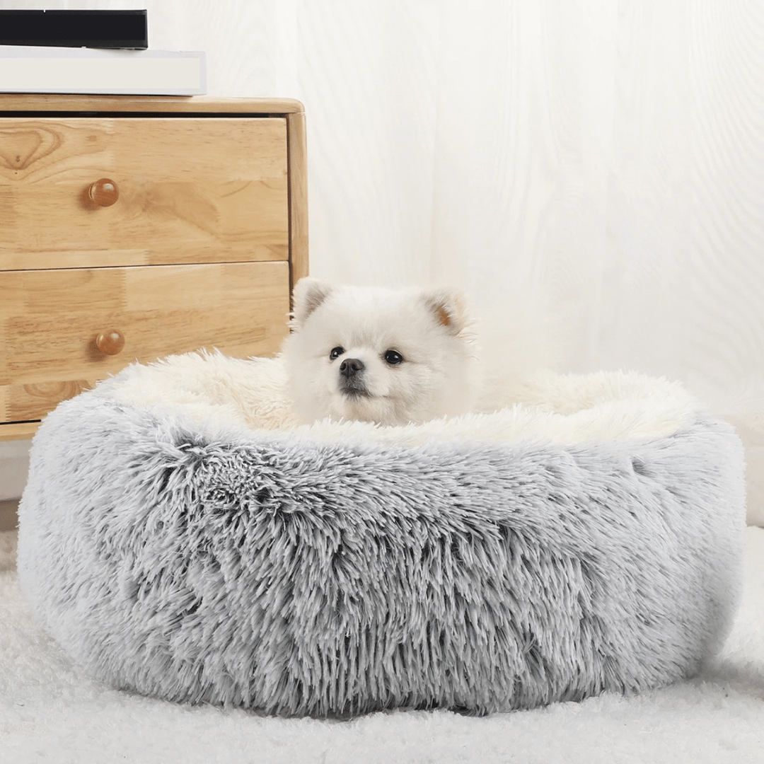 Ultra Soft Round Pet Dog Bed - LifyPet