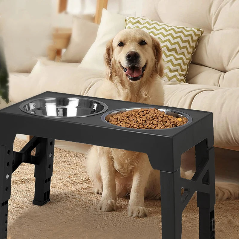 Raised Pet Feeder with Stainless Steel Dog Bowls