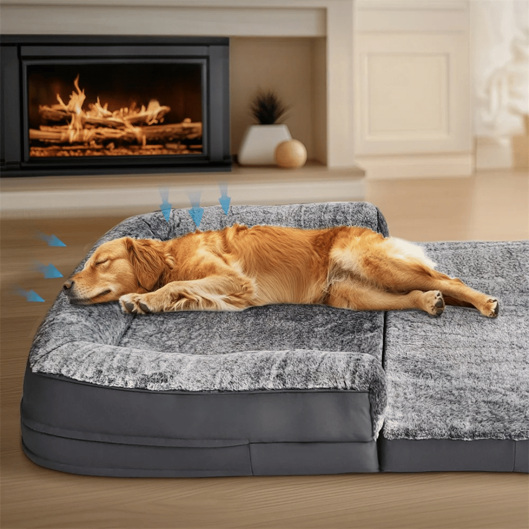 Comfortable Pet Dog Bed | Foldable Calming Bed for Dogs
