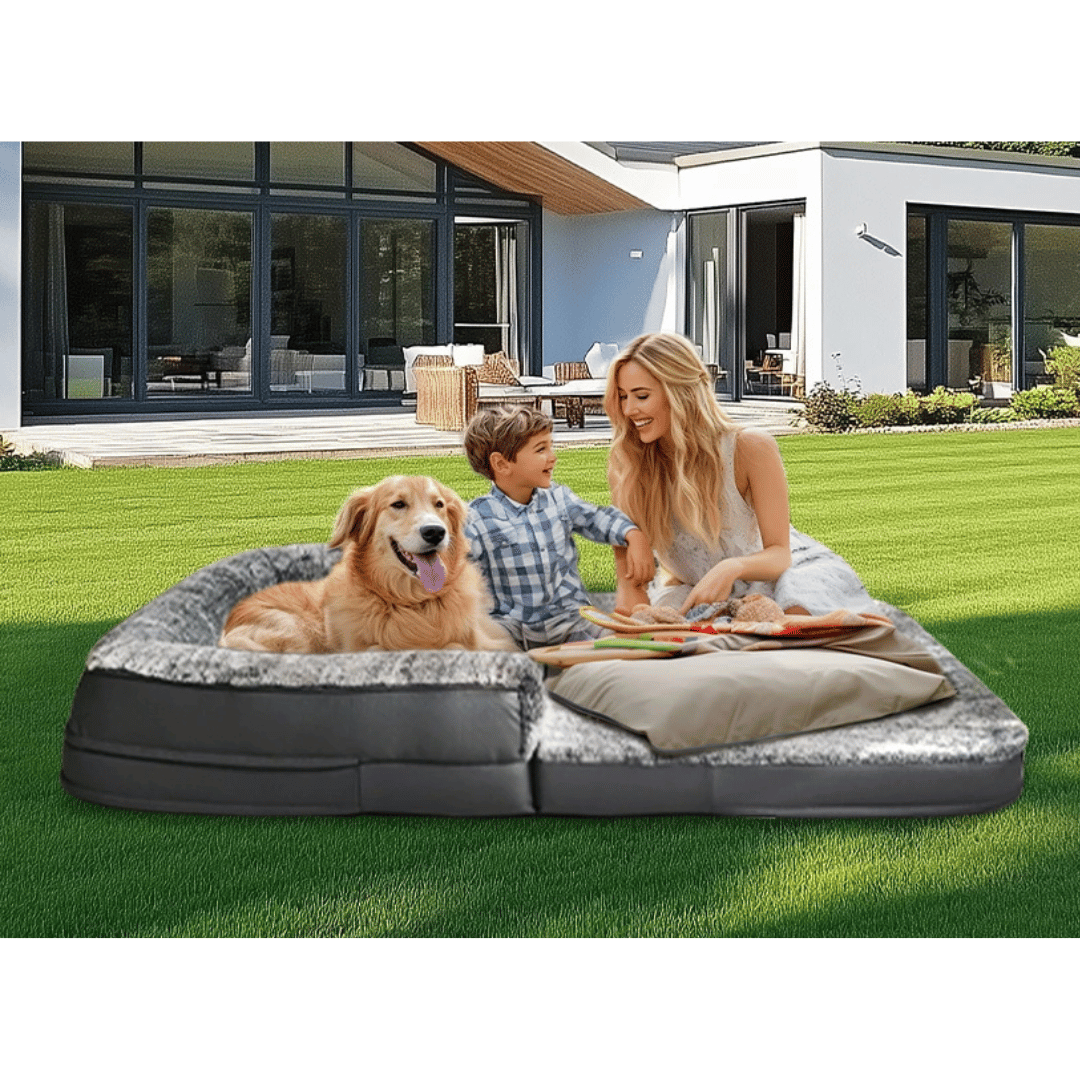 Comfortable Pet Dog Bed | Foldable Calming Bed for Dogs