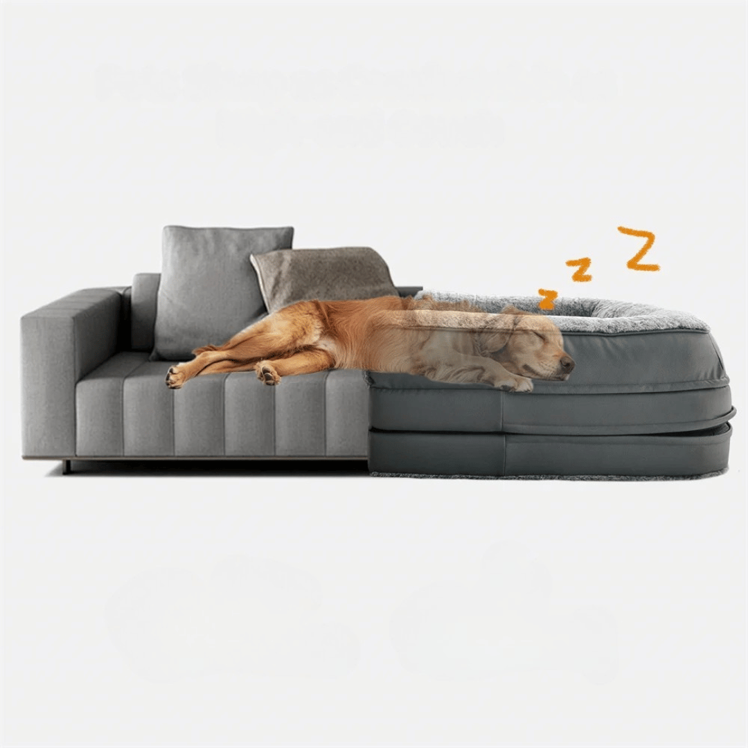 Comfortable Pet Dog Bed | Foldable Calming Bed for Dogs