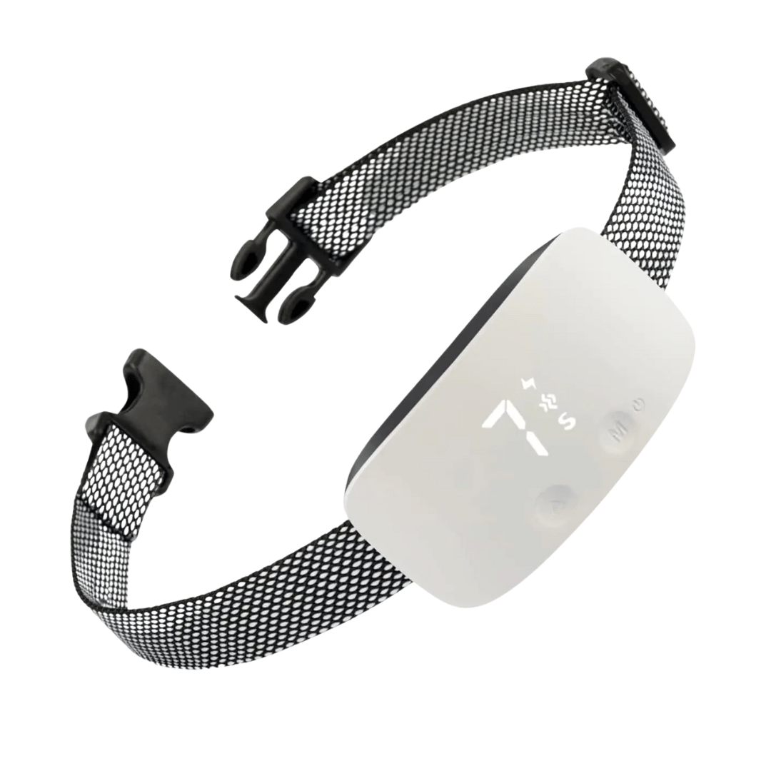 Easy Train Anti Bark Dog Collar with LCD Screen - LifyPet