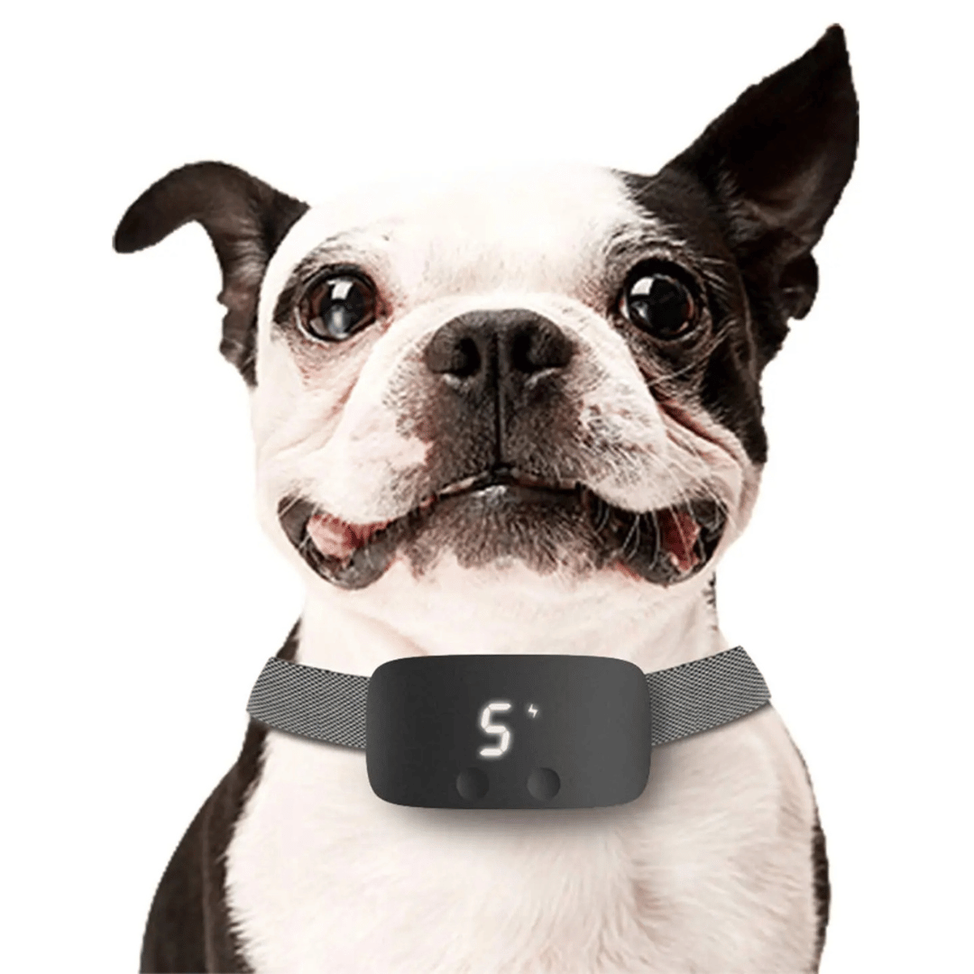 Easy Train Anti Bark Dog Collar with LCD Screen