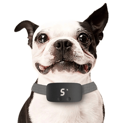 Easy Train Anti Bark Dog Collar with LCD Screen