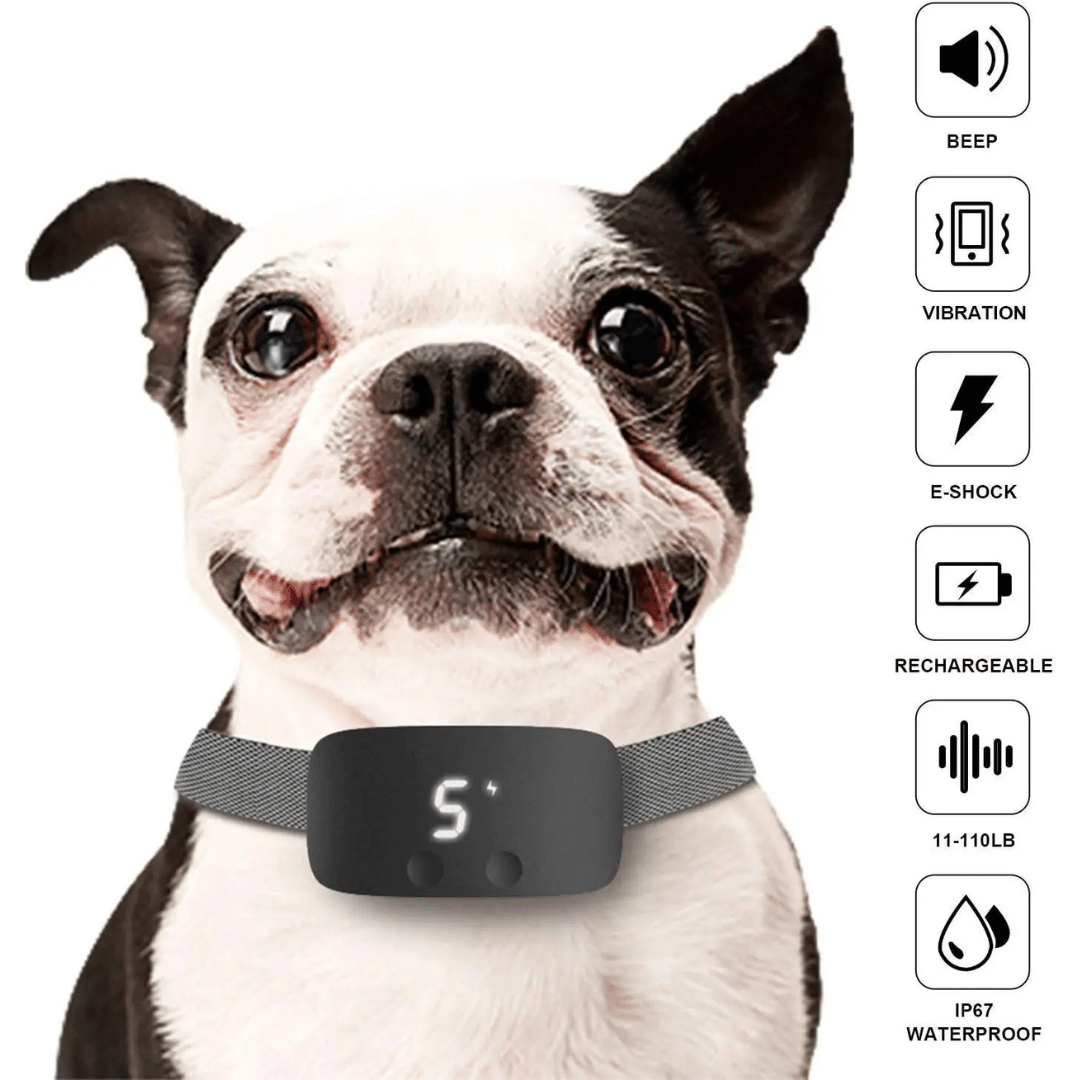 Easy Train Anti Bark Dog Collar with LCD Screen