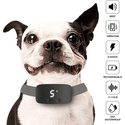 Easy Train Anti Bark Dog Collar with LCD Screen