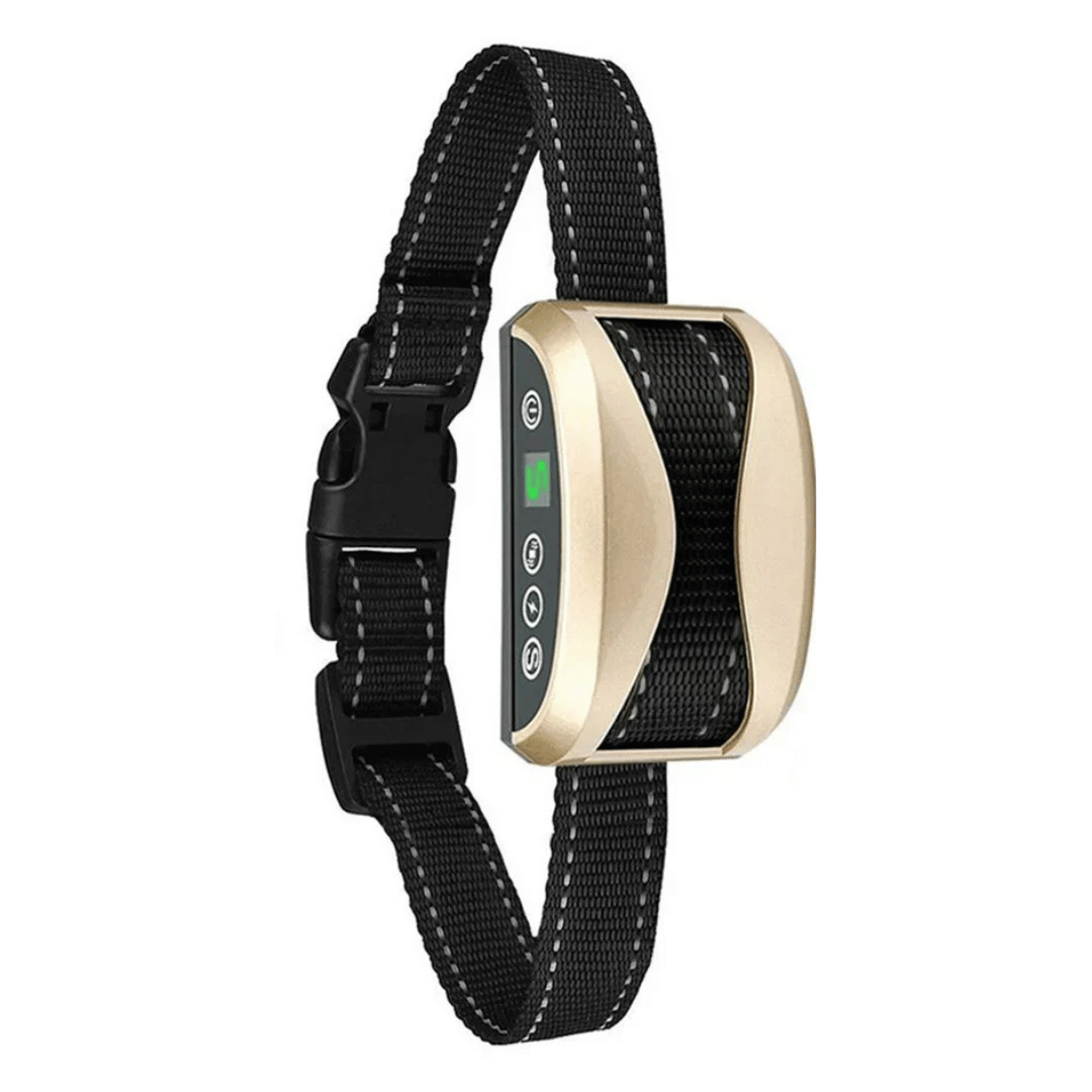 Effective No Bark Dog Training Collar - LifyPet