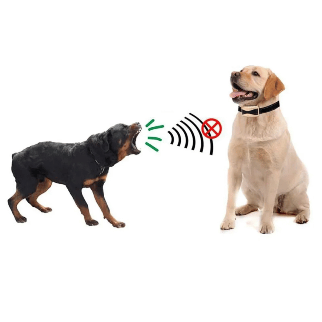 Effective No Bark Dog Training Collar