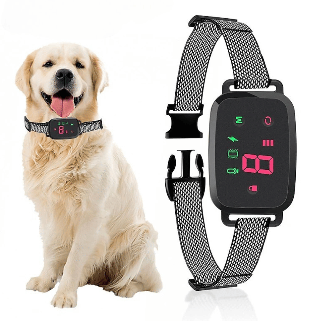Easy Dog Training Collar with Waterproof LCD Screen