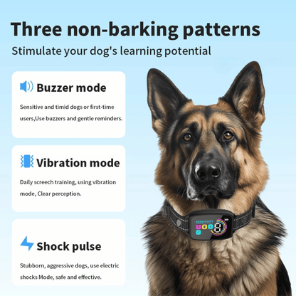Easy Dog Training Collar with Waterproof LCD Screen