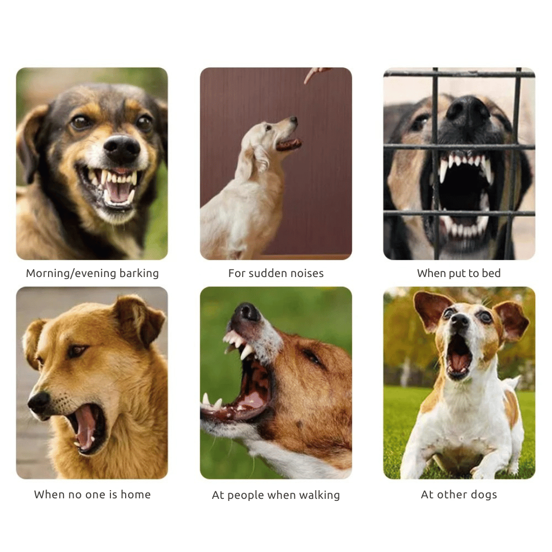 Effective Dog Bark Control Collar with Safe Static Shock