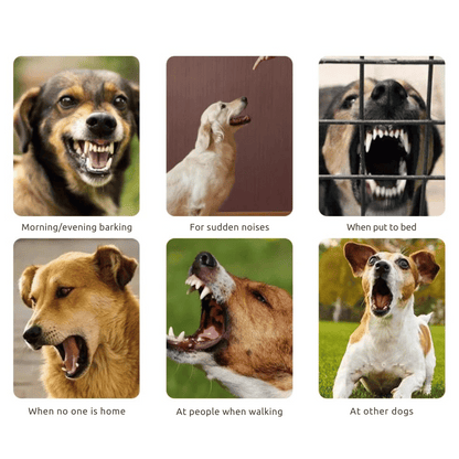 Effective Dog Bark Control Collar with Safe Static Shock