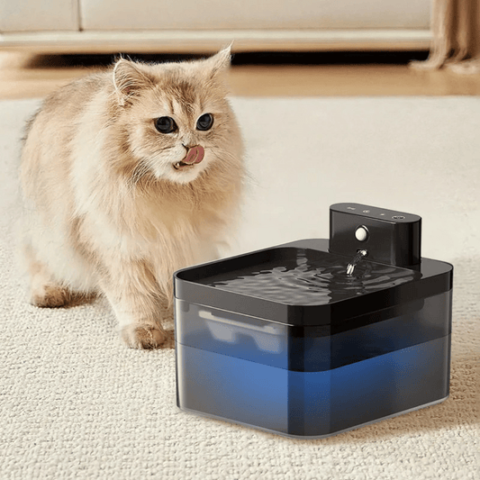 Easy Clean Pet Water Fountain with Advanced Sensor - LifyPet