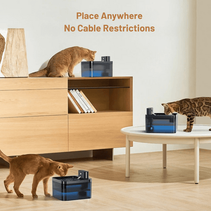 Easy Clean Pet Water Fountain with Advanced Sensor