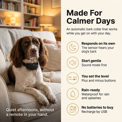 Springer spaniel wearing the BarkQuiet bark collar on a sofa, with key benefits: responds on its own, sound mode first, adjustable level, waterproof for rain, USB recharging