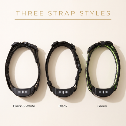 BarkQuiet bark collar in three strap styles: Black and White, Black, and Green